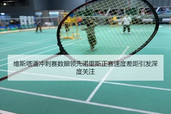 维斯塔潘冲刺赛数据领先诺里斯正赛速度差距引发深度关注